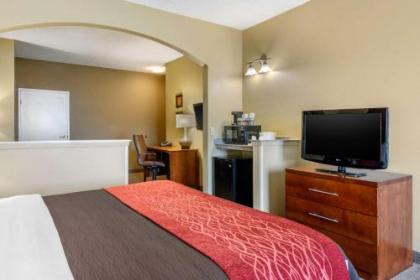 Comfort Inn DFW Airport North - image 3