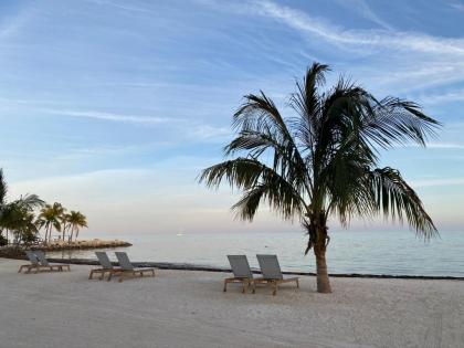 The Islands of Islamorada - image 8