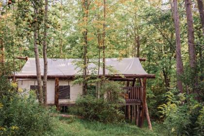 Firelight Camps - image 8