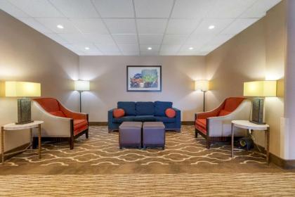 Comfort Inn & Suites - Jackson - image 4