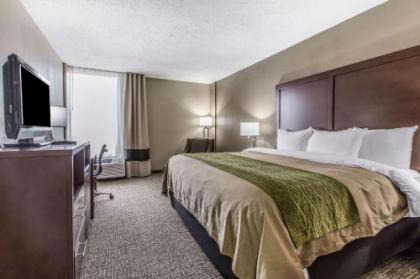 Comfort Inn Jackson - image 16