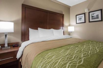 Comfort Inn Jackson - image 17