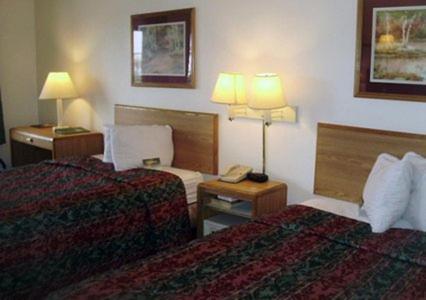 Econo Lodge Inn and Suites - Jackson - image 5