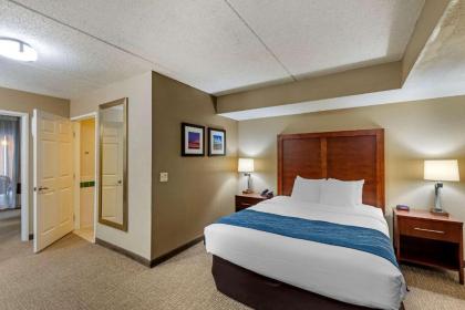 Comfort Inn & Suites Jackson - West Bend - image 14