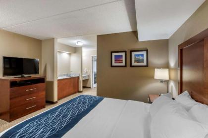 Comfort Inn & Suites Jackson - West Bend - image 15