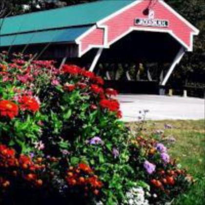 Covered Bridge River View Lodge - image 14