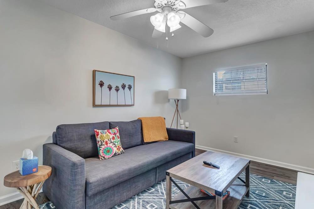 Amazing 1 BR apt - 1 block from Jax Beach! - main image