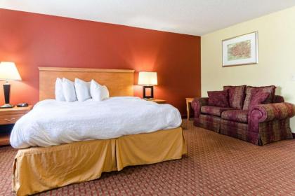 Rodeway Inn & Suites Jacksonville near Camp Lejeune - image 9