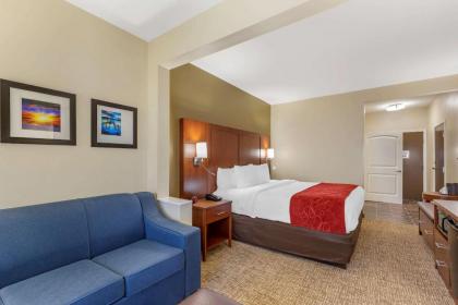 Comfort Suites near Camp Lejeune - image 7