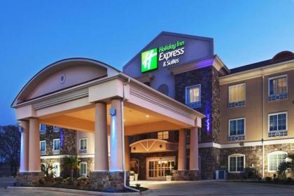 Holiday Inn Express Hotels & Suites Jacksonville an IHG Hotel - image 13