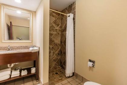 Comfort Inn & Suites Jasper Hwy 78 West - image 12