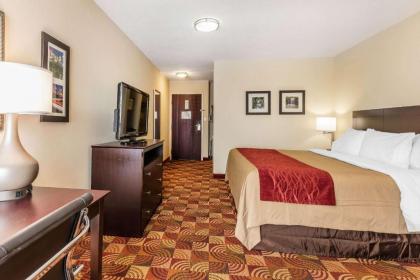 Comfort Inn & Suites Jasper Hwy 78 West - image 14