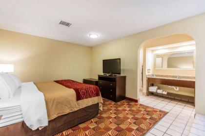 Comfort Inn & Suites Jasper Hwy 78 West - image 3