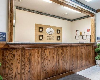 Comfort Suites - Jefferson City - image 10