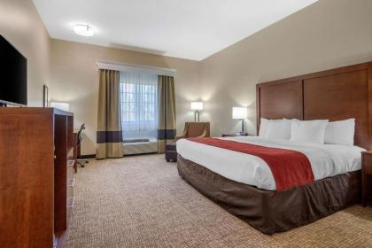 Comfort Inn & Suites Glenpool - image 4