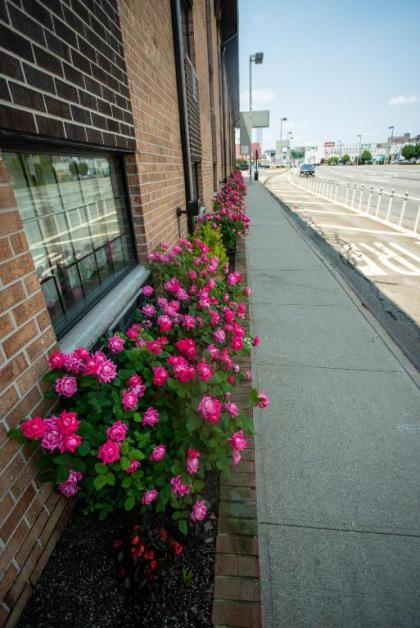 Holland Hotel Jersey City/Hoboken - image 11