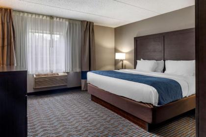 Comfort Inn - image 15