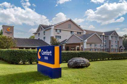 Comfort Inn - image 3