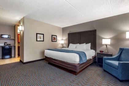 Comfort Inn - image 7