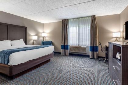 Comfort Inn - image 8