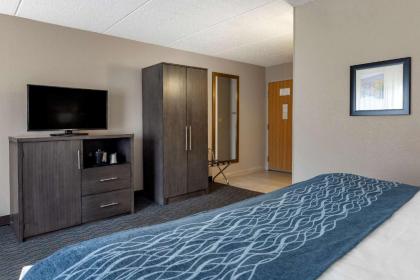 Comfort Inn - image 9