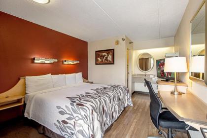 Red Roof Inn Binghamton - Johnson City - image 3