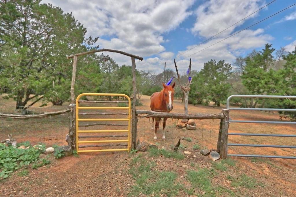 Three Horses Ranch - image 5