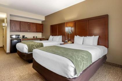 Comfort Suites Johnson City - image 12