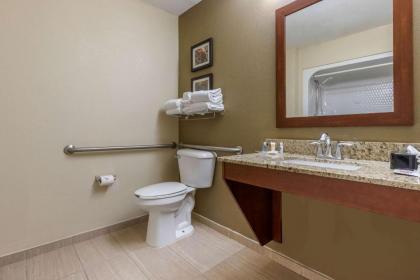 Comfort Suites Johnson City - image 3