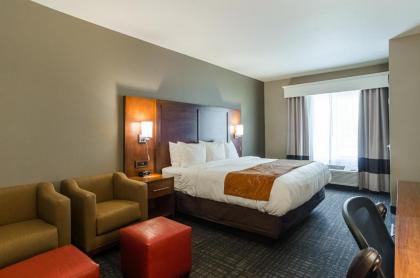 Comfort Suites Loveland - image 2