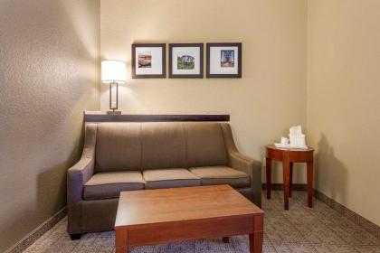 Comfort Suites Jonesboro University Area - image 12