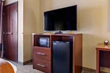 Comfort Suites Jonesboro University Area - image 13