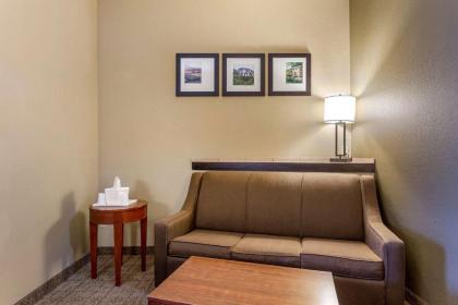 Comfort Suites Jonesboro University Area - image 15