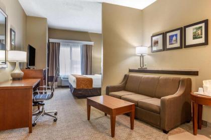 Comfort Suites Jonesboro University Area - image 9