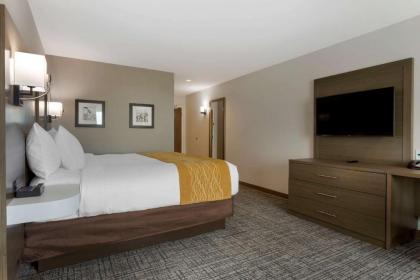 Comfort Inn - image 12