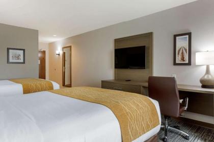 Comfort Inn - image 15