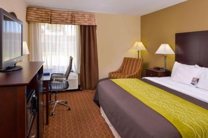 Comfort Inn and Suites Joplin - image 10