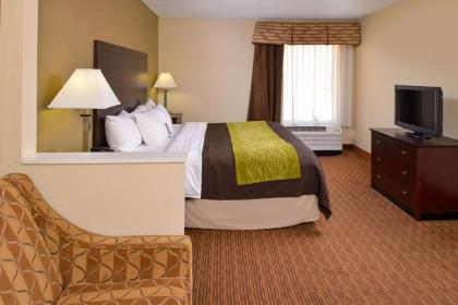 Comfort Inn and Suites Joplin - image 14