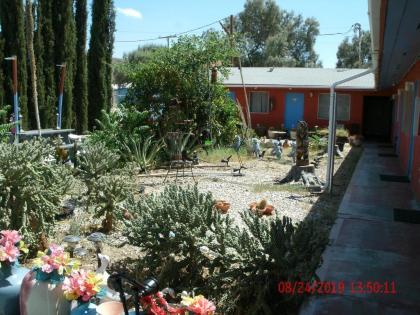 Safari Motor Inn - Joshua Tree - image 13