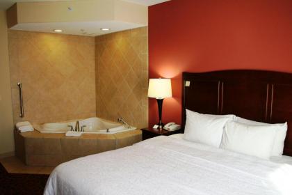 Hampton Inn Junction City - image 6