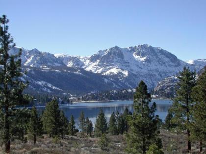 Lake Front Cabins - image 4