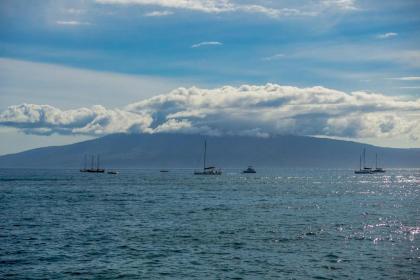 Kaanapali Shores 353 - image 8