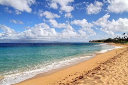 Maui Eldorado Resort - image 12