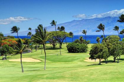 Maui Eldorado Resort - image 9