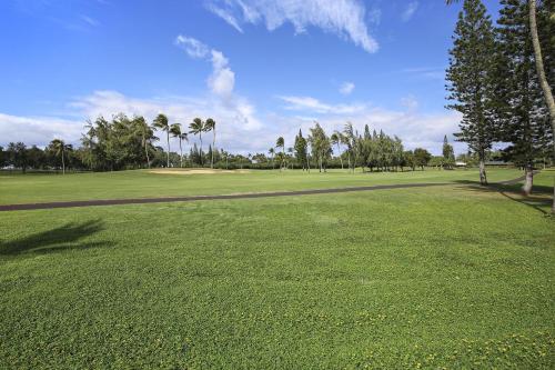 Sugar Cane Condo - image 3