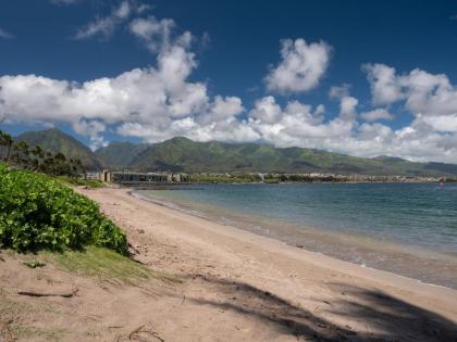 Maui Seaside Hotel - Refreshed Newly Renovated - image 5