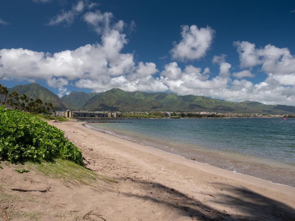 Maui Seaside Hotel - Refreshed Newly Renovated - image 5