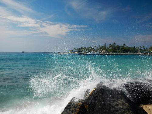 Holiday Inn Express & Suites Kailua-Kona an IHG Hotel - image 5