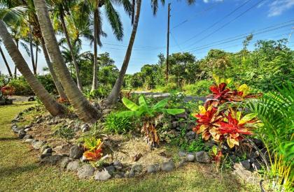 Breezy Kailua-Kona Bungalow with Lanai and Ocean View! - image 17