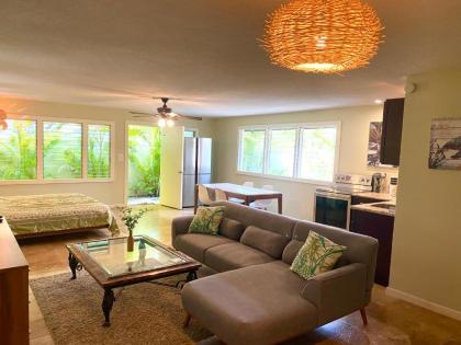 Brand New Kailua Beach - image 12